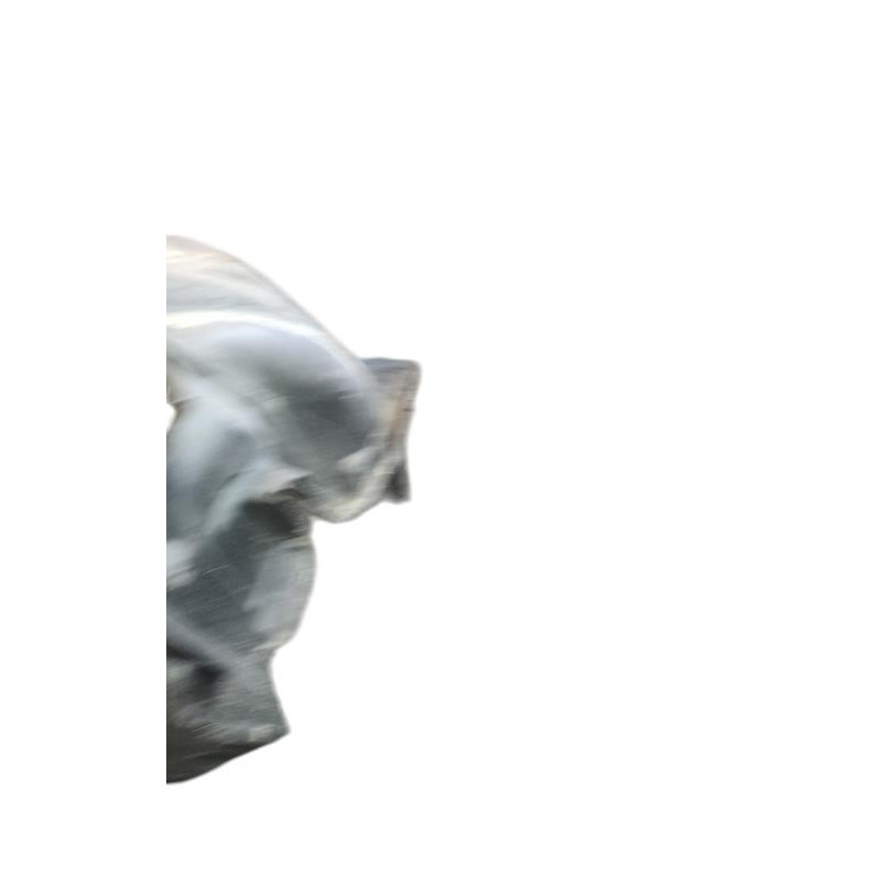 Pare boue avant gauche BMW SERIE 5 E60 Photo n°1