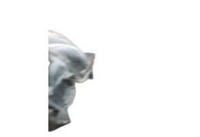 Pare boue avant gauche BMW SERIE 5 E60 Photo n°1