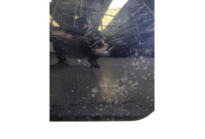 Porte arriere gauche BMW SERIE 5 E61 Photo n°8