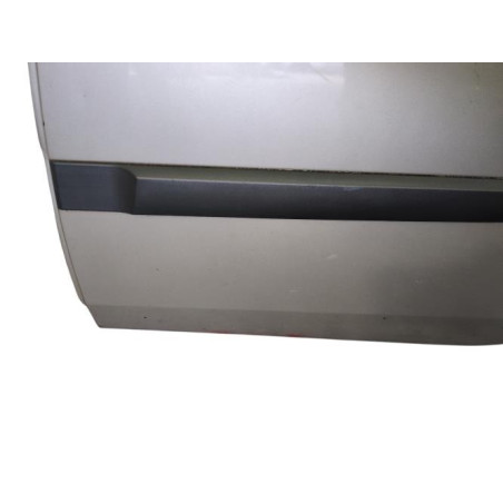 Porte arriere gauche RENAULT SCENIC 2