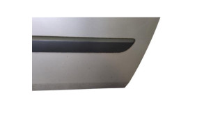 Porte avant droit RENAULT SCENIC 2 Photo n°7