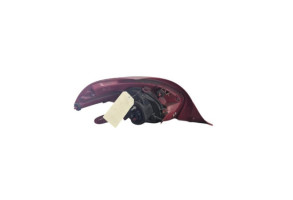 Feu arriere principal droit (feux) PEUGEOT 208 1 Photo n°1