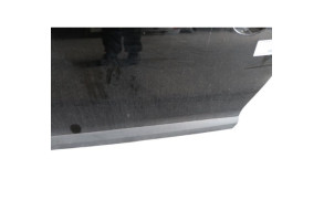 Porte avant gauche RENAULT MEGANE 3 Photo n°6