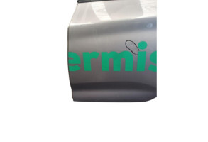 Porte arriere gauche RENAULT ZOE 1 Photo n°2