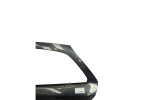 Porte arriere gauche RENAULT LAGUNA 2 Photo n°5