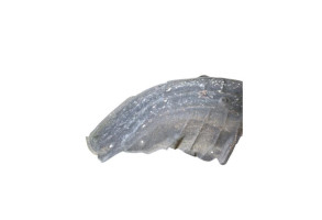 Pare boue arriere gauche TOYOTA AURIS 2 Photo n°2