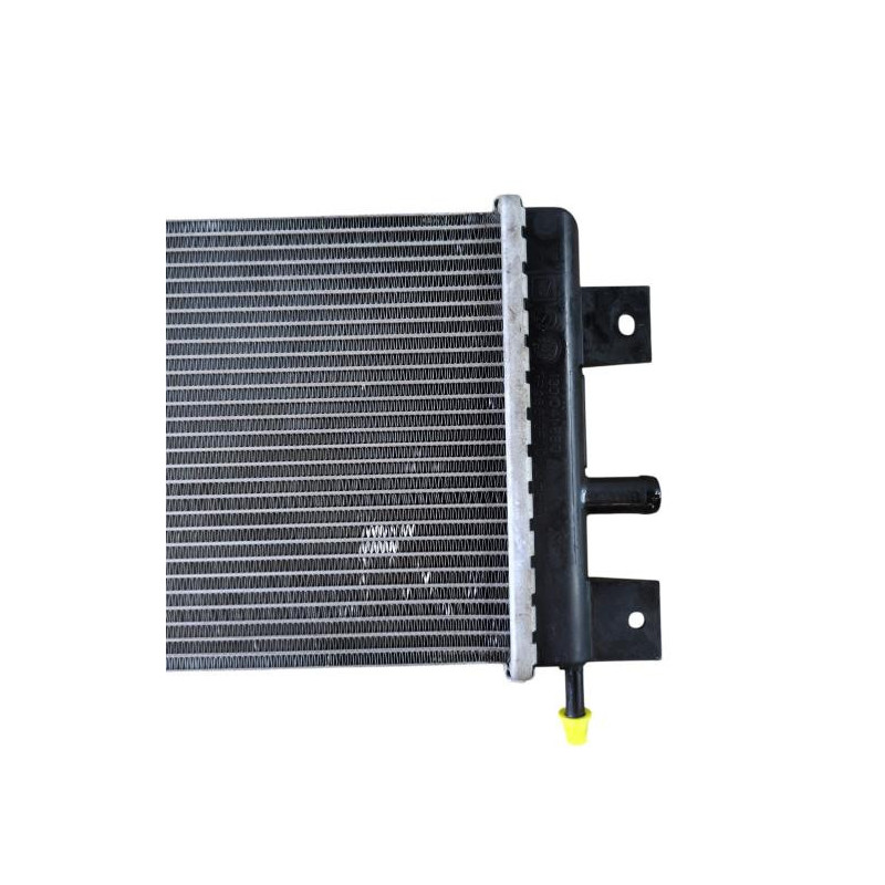 Radiateur eau DACIA SPRING Photo n°1