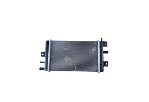 Radiateur eau DACIA SPRING Photo n°3