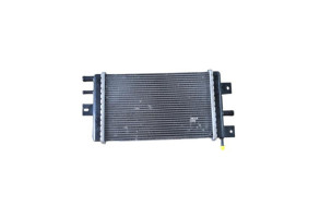 Radiateur eau DACIA SPRING Photo n°6