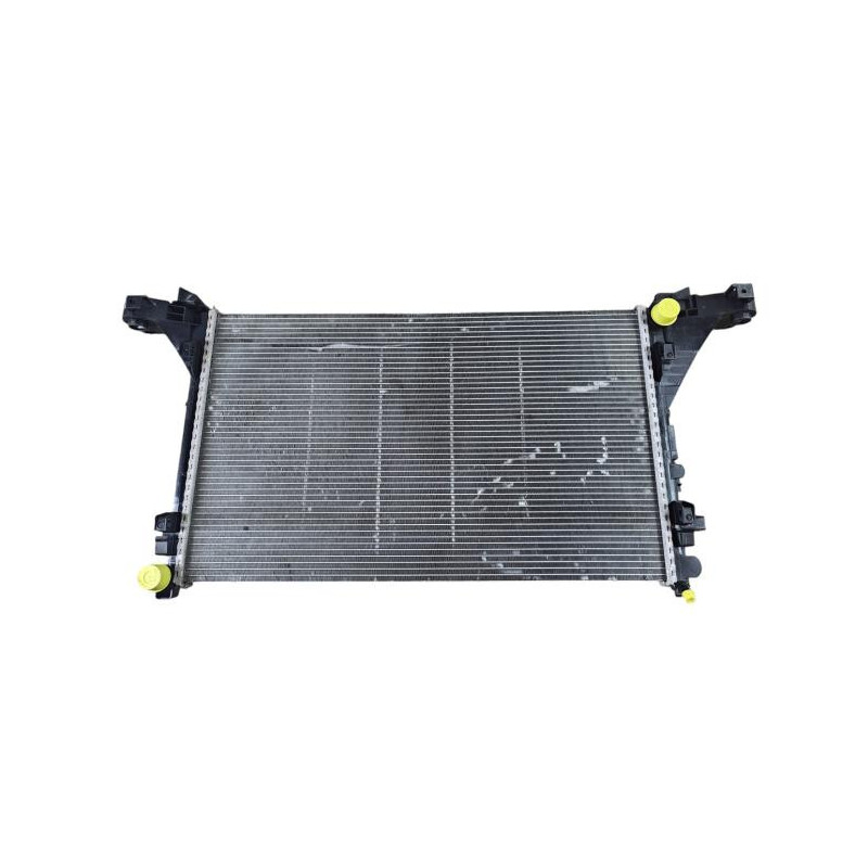 Radiateur eau RENAULT MASTER 3 Photo n°1