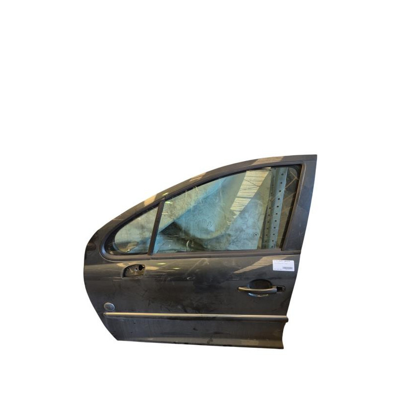 Porte avant gauche PEUGEOT 207 Photo n°1