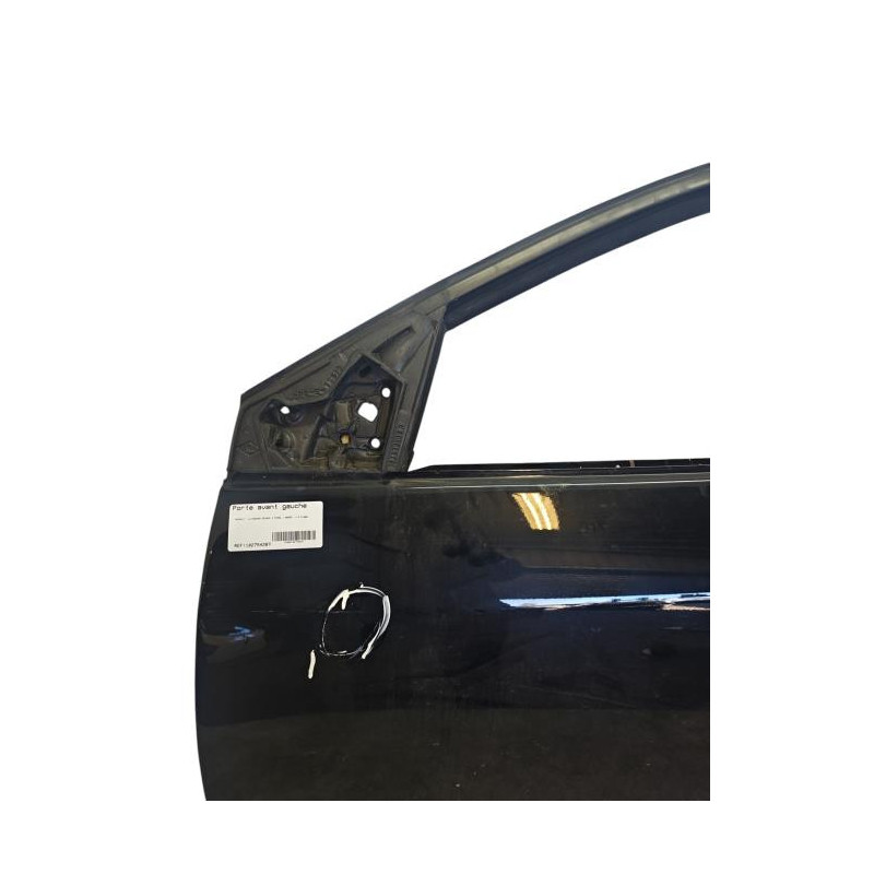 Porte avant gauche RENAULT MEGANE 3 Photo n°1