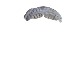 Pare boue arriere gauche RENAULT SCENIC 3 Photo n°1