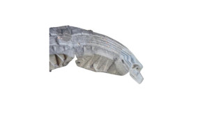 Pare boue arriere gauche RENAULT SCENIC 3 Photo n°3