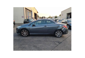 Porte avant gauche PEUGEOT 308 1 Photo n°13