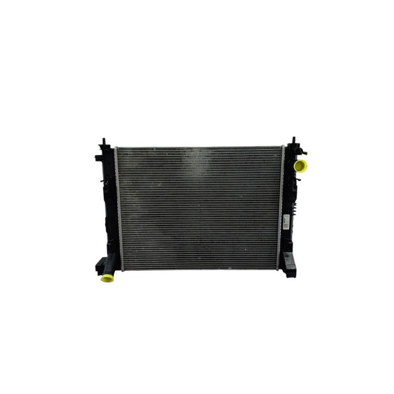 Radiateur eau RENAULT CLIO 5 Photo n°1