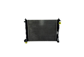 Radiateur eau RENAULT CLIO 5 Photo n°1