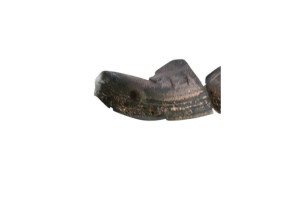 Pare boue arriere gauche RENAULT MEGANE 4 Photo n°2