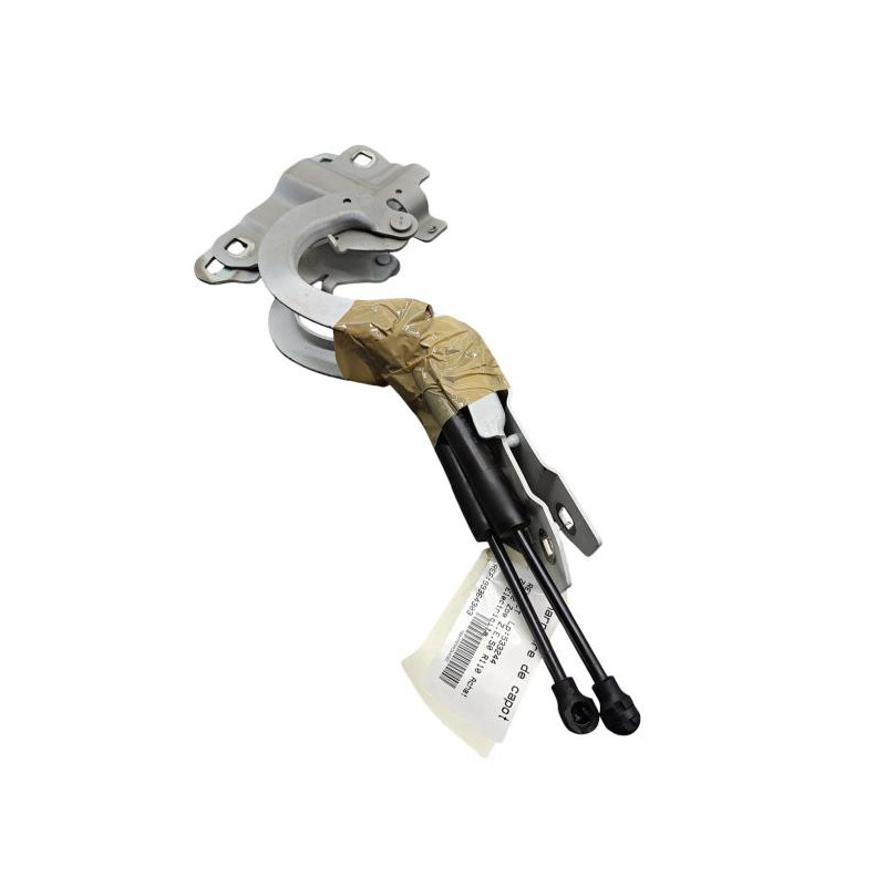 Charniere de capot RENAULT ZOE 2 Photo n°1