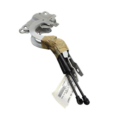 Charniere de capot RENAULT ZOE 2