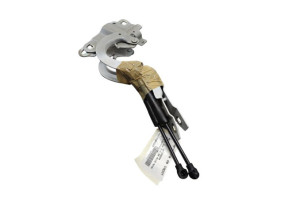 Charniere de capot RENAULT ZOE 2 Photo n°1