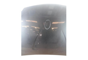 Capot DACIA SANDERO 1 Photo n°1