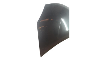 Capot DACIA SANDERO 1 Photo n°6