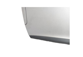 Porte avant gauche RENAULT MEGANE 3 Photo n°4