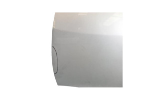 Porte avant gauche RENAULT MEGANE 3 Photo n°5