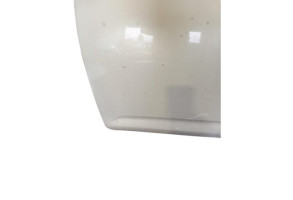 Porte avant gauche DAIHATSU SIRION 2 Photo n°5