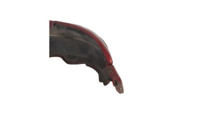 Pare choc avant PEUGEOT 206 Photo n°5