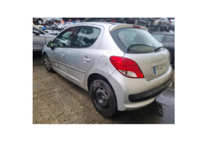 Sigle de calandre PEUGEOT 207 Photo n°6