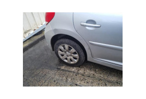 Sigle de calandre PEUGEOT 207 Photo n°9