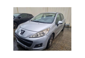 Sigle de calandre PEUGEOT 207 Photo n°11