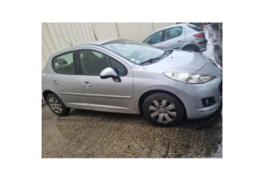 Sigle de calandre PEUGEOT 207 Photo n°15