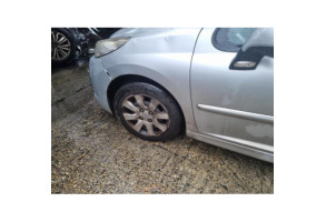 Sigle de calandre PEUGEOT 207 Photo n°16