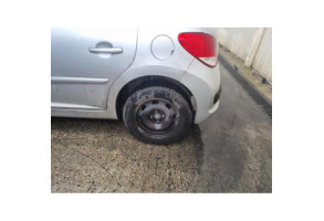 Sigle de calandre PEUGEOT 207 Photo n°17