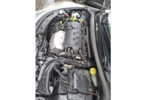 Sigle de calandre PEUGEOT 207 Photo n°19