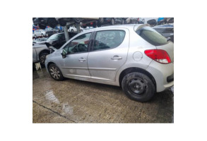 Sigle de calandre PEUGEOT 207 Photo n°20