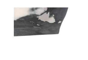 Porte avant droit CITROEN C4 2 Photo n°7