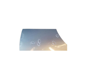 Porte arriere droit BMW SERIE 3 E91 Photo n°5