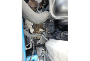 Retroviseur droit SUZUKI SPLASH Photo n°19