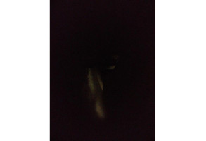 Leve vitre electrique avant droit AUDI Q7 1 Photo n°2