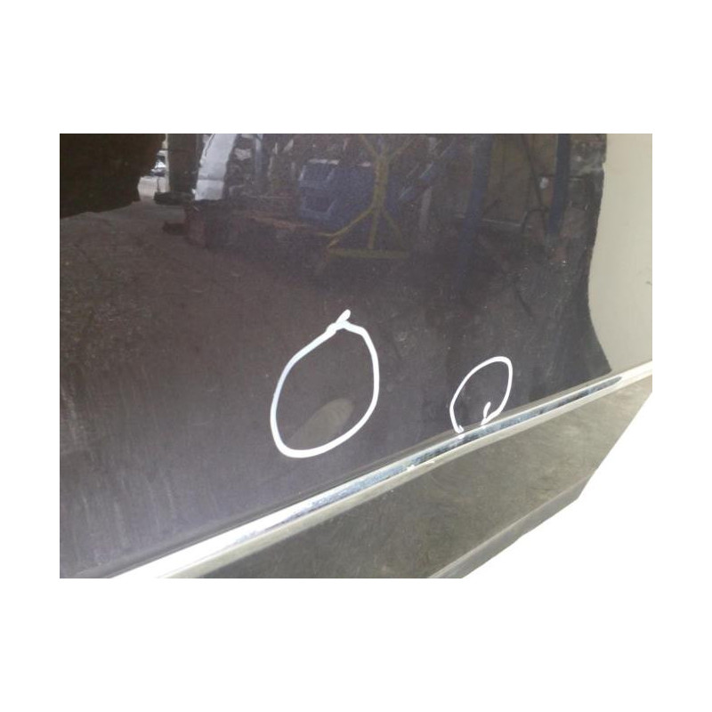 Porte arriere gauche VOLKSWAGEN PASSAT 5 Photo n°1