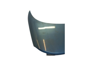 Malle/Hayon arriere VOLKSWAGEN EOS Photo n°1