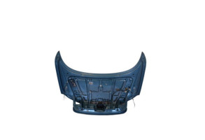 Malle/Hayon arriere VOLKSWAGEN EOS Photo n°2