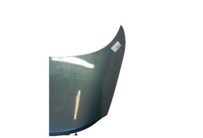 Malle/Hayon arriere VOLKSWAGEN EOS Photo n°9