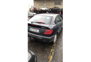 Feu arriere principal droit (feux) CITROEN XSARA Photo n°11