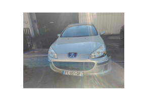 Porte avant droit PEUGEOT 407 Photo n°7