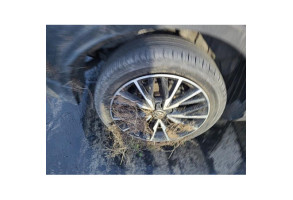 Interrupteur de leve vitre avant droit TOYOTA C-HR 1 Photo n°3